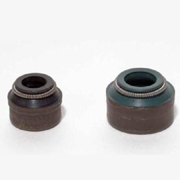 Valve Seal
